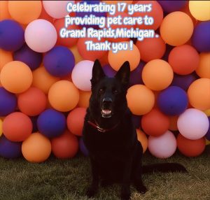 celebrating 17 years